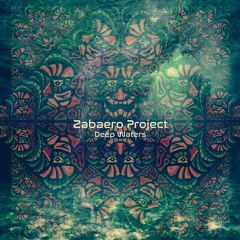 Zabaero Project
