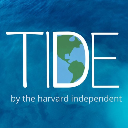 Stream The Harvard Independent | Listen to podcast episodes online for ...