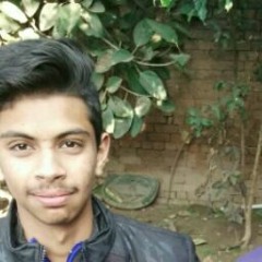 Vivek Badhwar