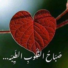 نور الحياه