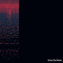 Voice Da Noise
