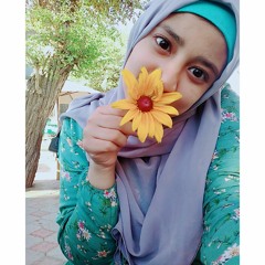 Menna Abdelhamid