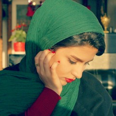 negar sdi