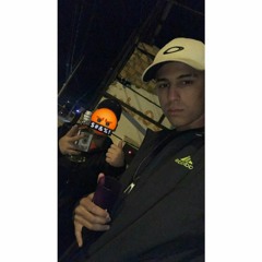 Leonardo MTR