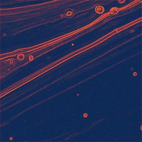 Stream tsnxmi music | Listen to songs, albums, playlists for free on SoundCloud tsnxmi