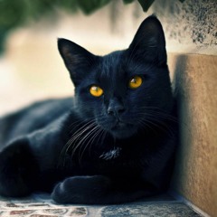 Black Manjusaka