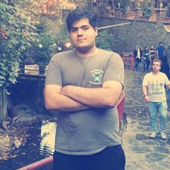 amirdivanbeigi