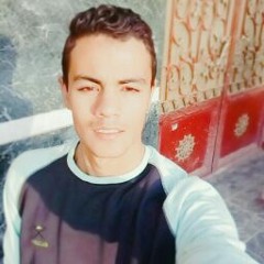 Mohamed Elfawy