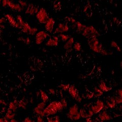 Paranoia With Headphones