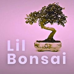 Lil Bonsai