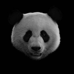 dark_panda
