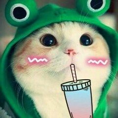 User 142252224