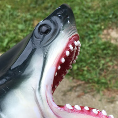 Clickbait Shark Poopet