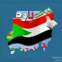سنين الغربه