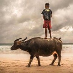 Thằng Bán Đậu$