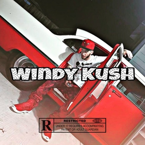Windy Kush’s avatar