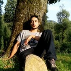 Naeem Shirdel