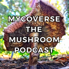 Mycoverse The Mushroom Podcast