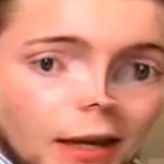 Den Danske Metode 💸🇩🇰