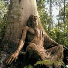 WoodChuck Productions