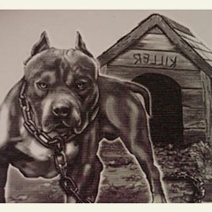 Madd Dogg Radio