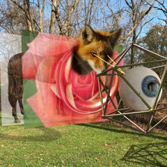 surrealdonut2020