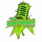 The Herbalized Podcast