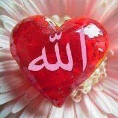 أحمد الشافعي