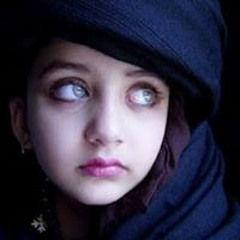 حمر الورود المزهرية