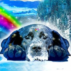 Balancing The Elements*Ayurveda Fun