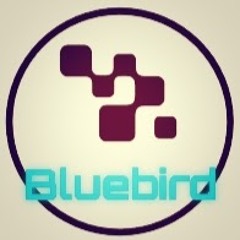 TheBluebird YT