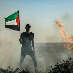 المعلم