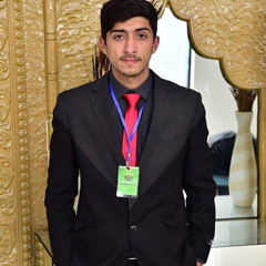 Syed Ahmed raza