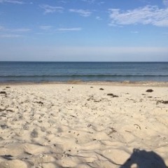 Sonne...Sand und Mehr