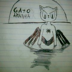 Gato Aranha