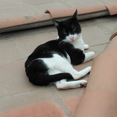 Benjamin Romero Pudwill