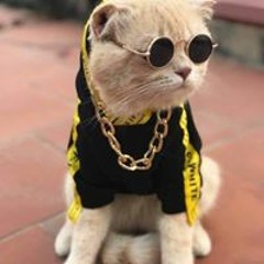 Tùng Music