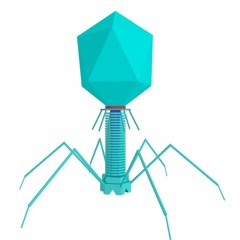 PhageLambda