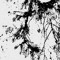 smope10