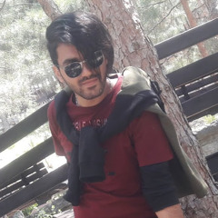mehryar eghtesami