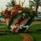 Nsr Abd