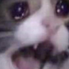 sadcryingcat hours