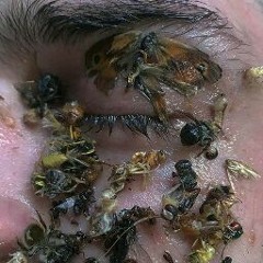 pizdataya mellifluous