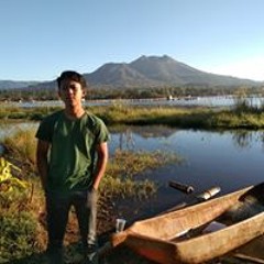 desan
