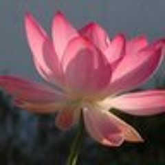 Сергей Клепацкий