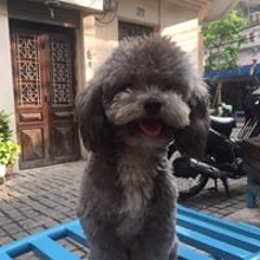 Hoàng Khánh An