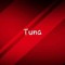 Tuna Tülek