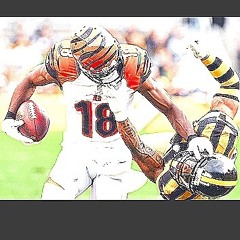 dthom 23