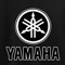 yamaha DT