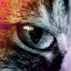 DJ Frasier From Seinfeld